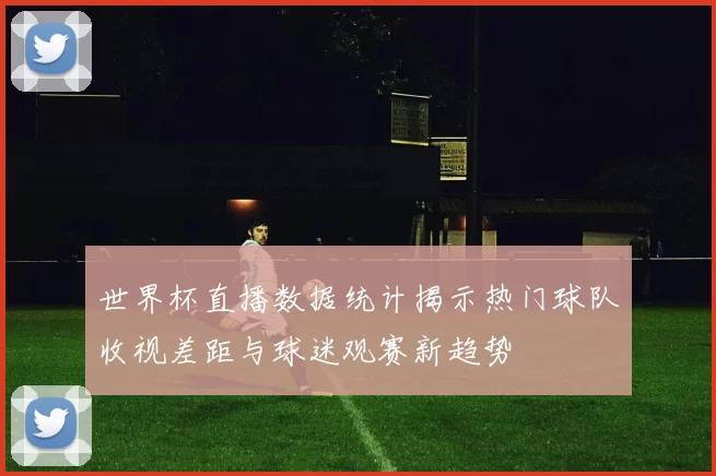 世界杯直播数据统计揭示热门球队收视差距与球迷观赛新趋势