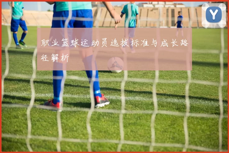 职业篮球运动员选拔标准与成长路径解析