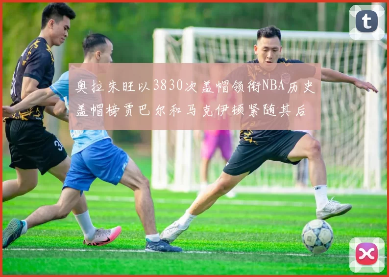 奥拉朱旺以3830次盖帽领衔NBA历史盖帽榜贾巴尔和马克伊顿紧随其后