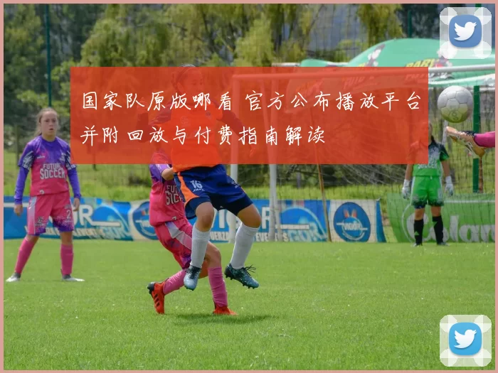 国家队原版哪看 官方公布播放平台并附回放与付费指南解读