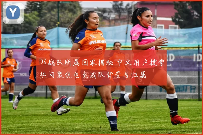 DK战队所属国家揭秘 中文用户搜索热问聚焦电竞战队背景与归属
