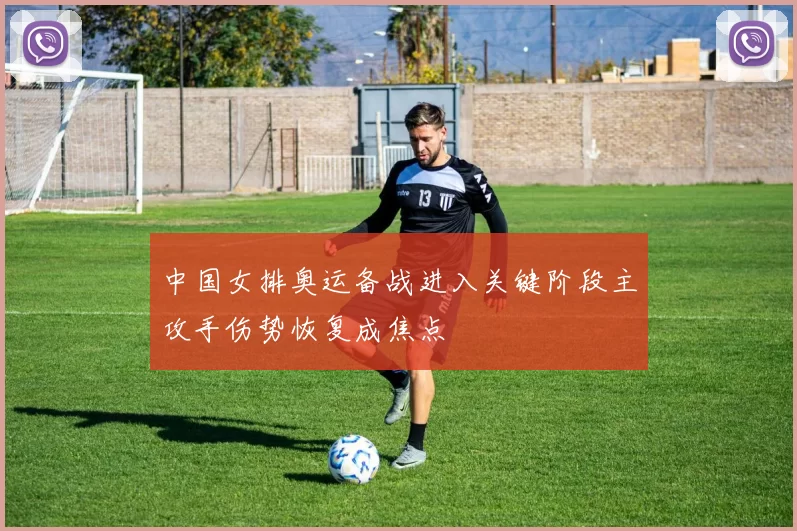 中国女排奥运备战进入关键阶段主攻手伤势恢复成焦点
